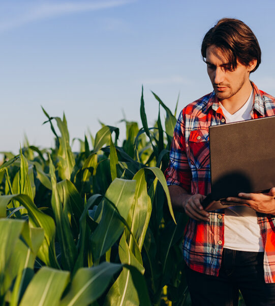 Perito de seguros agrarios Perito de seguros agrarios, comprobando los daños ocasionados.